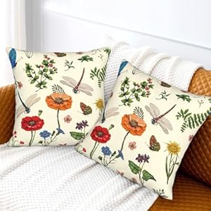 Spring Flower Dragonfly Throw Pillow Covers 20x20 Set of 2 Summer Botanical Decorative Pillowcase Cushion Covers Soft Velvet Pillow Cases for Sofa Couch Bed Car Bedroom Spring Decor Spring Flower Dragonfly Throw Pillow Covers 20×20 Set of 2 Summer Botanical Decorative Pillowcase Cushion Covers Soft Velvet Pillow Cases for Sofa Couch Bed Car Bedroom Spring Decor