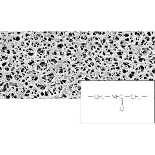 Sartorius 25007-25N Polyamide Membrane Filter, Nylon, 0.2 um, 25 mm (Pack of 100)