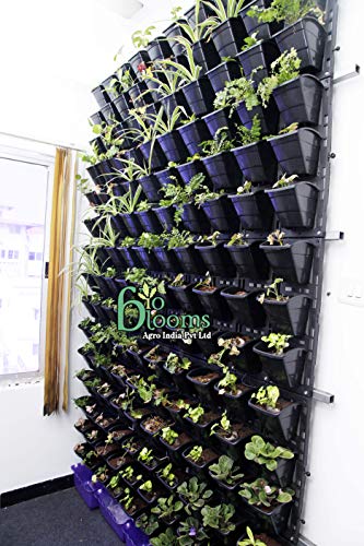 Image of Bio Blooms Agro India Private Limited Bio Blooms Agro India Plastic Vertical Hanging Pots | Wall Garden Hanging Set Of 4 Panel & 12 Planter Pots | Black