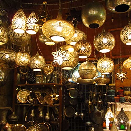 12 Pezzi Lampade Alogene G9 230V 40W, 2900k Luce