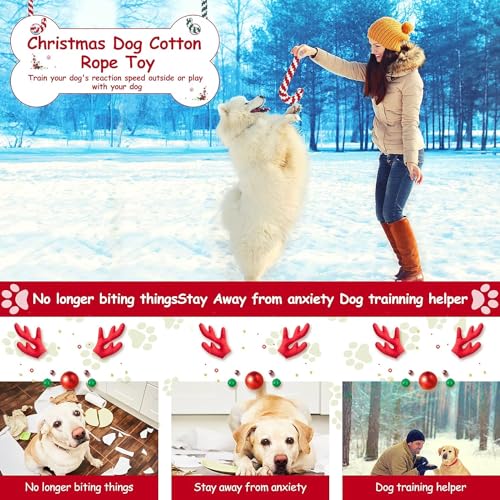 AHYDFSR Hunde Kauspielzeug, 3 Stück Hundespielzeug Zuckerstange Weihnachten Geschenk, Weihnachts Zuckerstange Seil, Interaktives Hunde Spielseil für Zahnreinigung