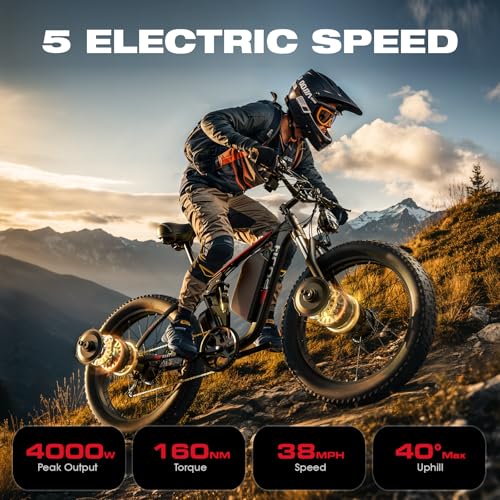 Electric Bike for Adults