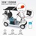 36V 100Ah Golf Cart LiFePO4 Lithium Battery 200A BMS,NewtiPower 10000+ Deep Cycle Lithium Iron Phosphate Battery Great for Golf Cart, RV, Marine and Off Grid Applications