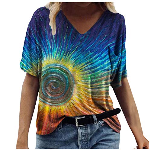 Damen T-Shirt Frühling Sommer Szenische Blumen Tiermotiv Tops Bunte 3D-gedruckte Pullover Casual Kurzarm V-Ausschnitt Tunika Vintage T-Shirt Bluse(XXXL,Blau)