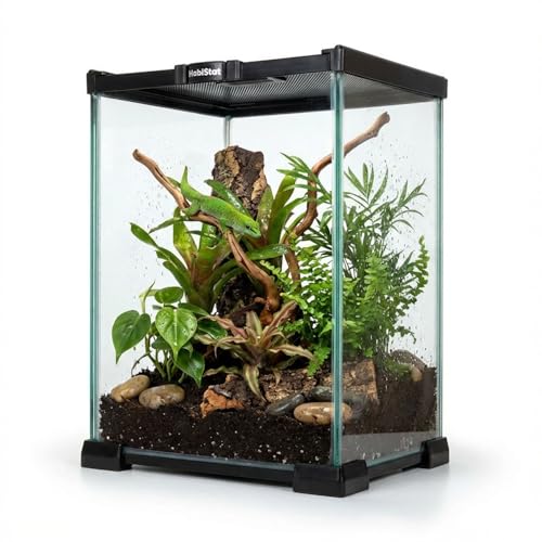 Habistat Mini Glass Terrarium for Reptiles 8"x8"x12" – Stackable Reptile Enclosure for Inverts & Amphibians with Lock & Watertight Base, Ideal Terrarium Tank for Geckos and Indoor Bioactive Setups