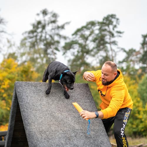 Bull Fit Beisswurst für Hunde, 30 cm mit Handschlaufe - Sehr Robustes Hundespielzeug zum Training, Tauziehen und Zerrspiele mit Hund - Aus hochwertigem Feuerwehrschlauch handgefertigt, orange