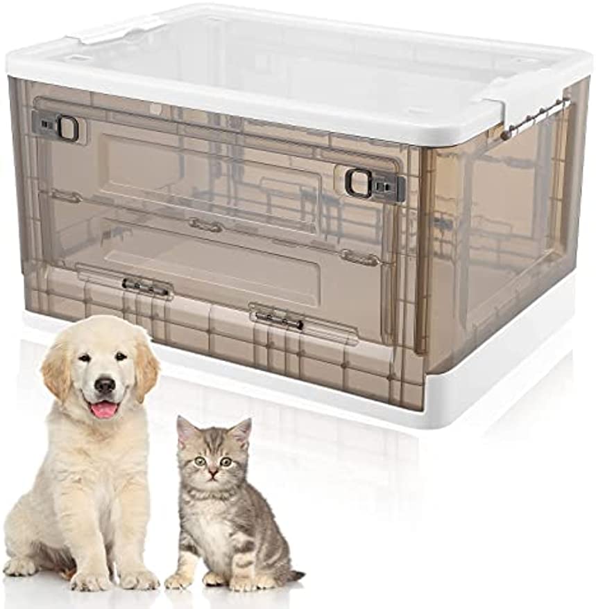 Amazon | ペット用酸素ボンベ、酸素ボンベケージ、酸素マシン