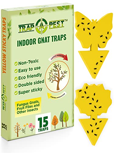 15 pcs Gnat Traps for House Indoor, Fungus Gnat Sticky Traps for Plants, Sticky Traps for Gnats - Plant Sticky Traps for Bugs, Sticky Fly Traps for Plants Trap Fungus Gnat, Fruit Fly and Other Insects