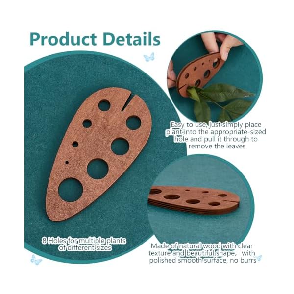 PH PandaHall 2pcs Teardrop Wooden Herb Stripper 8 Holes Herb Pealer Wood Leaf Remover Herb Stripping Brown Herb Stripper Tool for Kitchen Gadgets Cooking Small Kitchen Appliances Chef, Hole: 2-16mm - Image 5