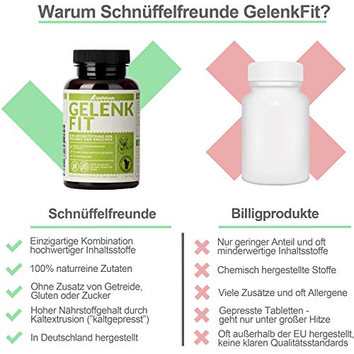 Schnüffelfreunde Gelenk Fit I Natürliche Gelenktabletten für Hunde zur Unterstützung der Knochen und Gelenke I Mit Grünlippmuschel, MSM und Kurkuma (150g - ca. 180 Stück)
