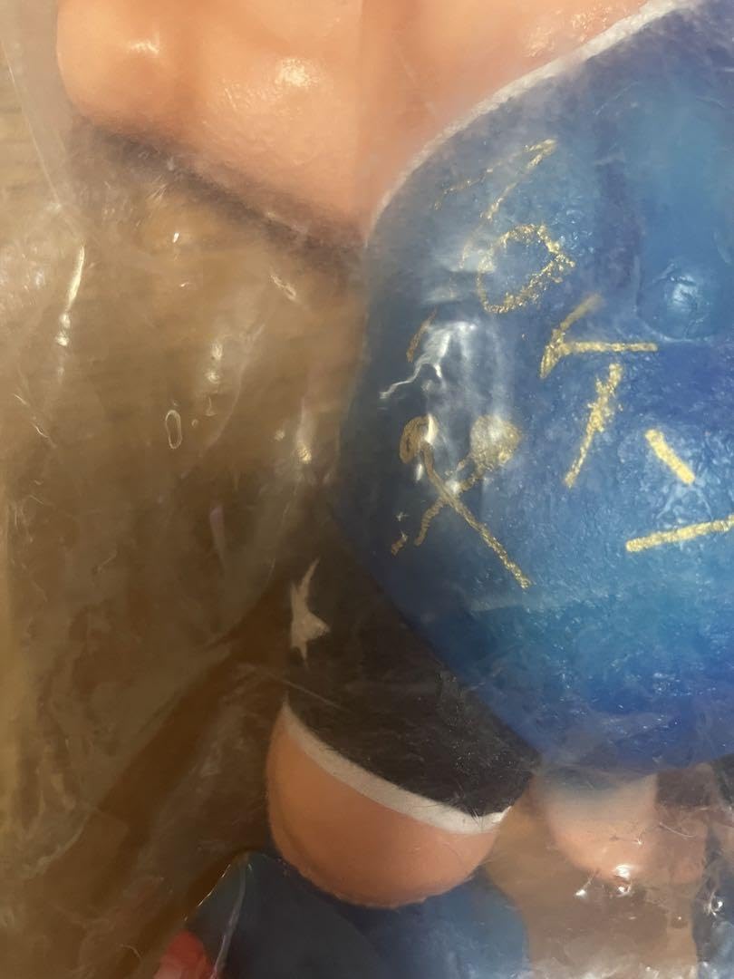 Amazon.co.jp: シカルナ工房 中岡俊哉 世界の怪獣シリーズグループ魂の