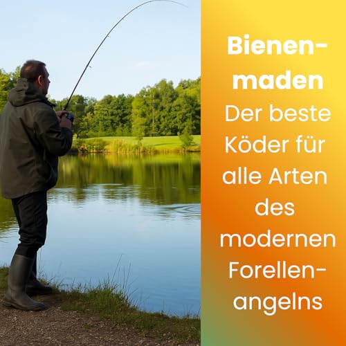 Lebende Bienenmaden – 3er Set (ca. 120 STK) – Premium Angelköder für Forellen & Saibling – Frische, aktive Ködermaden für Pose, Grundblei & Sbirolino – Lebendfutter