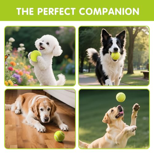 PHOEPET 6-Pack Tennis Balls for Beginner Training Practice- Bulk Dog Balls - image 5