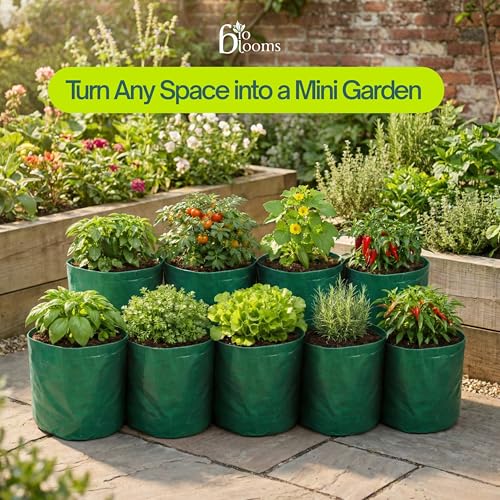 Image of Bio Blooms Round HDPE Grow Bag for Terrace & Kitchen Gardening | Pack of 10 | 15x15 | 340 GSM Heavy Duty Outdoor Planter for Vegetables, Flowers & Plants (Olive Green)