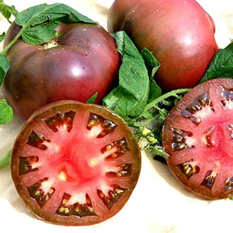 Cherokee Purple Tomato Seeds - Heirloom - B351 (25 Seeds, 1/10 Gram) Cover