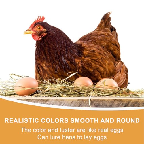 Pizsieat 6 Stück Holzeier Nesteier für Hühner,Holz Trainingshühner für Hühner,Künstliche Holzeier Helfen Beim Legen Fördern das Legen Oder Verhindern das Essen von Eiern