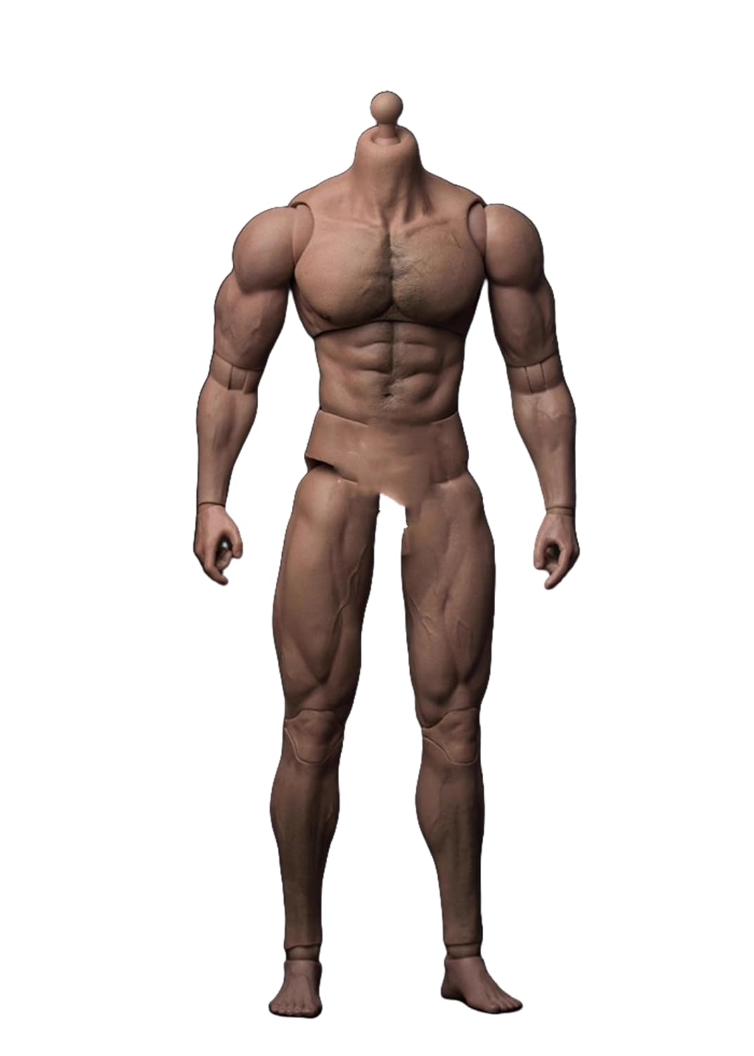 Amazon | 1/6 フィギュア 用筋 肉タイプ 男性素体 ボディ