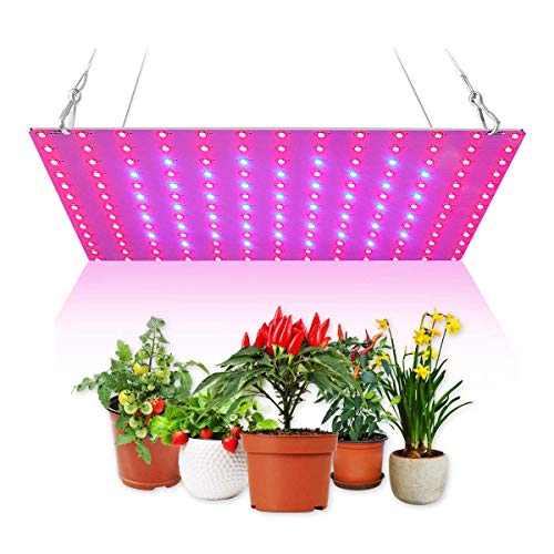 Lampe LED Croissance Plantes 45W - 225 LED Spectre Complet - Intensité Variable - Pour Plantes D'intérieur, Semis, Légumes, Fleurs