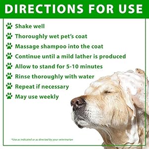 Vetoquinol Bpo3 Shampoo for Dogs Cats  Horses 3 Benzoyl Peroxide  16oz  Deep Cleaning Medicated Shampoo Opens  Flushes Hair Follicles  Degreases Oily Coats  Soothes Red Flaky Itchy Skin  Cucciolini Doodles Vetoquinol bpo 3 shampoo for dogs cats  horses 3 benzoyl peroxide  16oz  deep cleaning medicated shampoo opens  flushes hair follicles  degreases oily coats  soothes red flaky itchy skin   cucciolini doodles