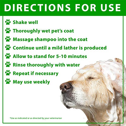 Vetoquinol Bpo3 Shampoo for Dogs Cats  Horses 3 Benzoyl Peroxide  16oz  Deep Cleaning Medicated Shampoo Opens  Flushes Hair Follicles  Degreases Oily Coats  Soothes Red Flaky Itchy Skin  Cucciolini Doodles Vetoquinol bpo 3 shampoo for dogs cats  horses 3 benzoyl peroxide  16oz  deep cleaning medicated shampoo opens  flushes hair follicles  degreases oily coats  soothes red flaky itchy skin   cucciolini doodles