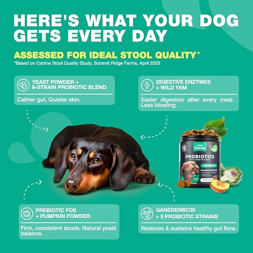 Image of Probiotics for Dogs Gut Health, Digestion, Immunity, Yeast Balance, Itchy Skin, Allergies Support - Dog Probiotic Chews with Digestive Enzymes for Gut Flora- Soft Treats with Pumpkin and Yeast Powder