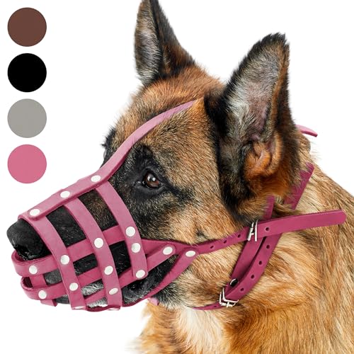 CollarDirect Maulkorb für Hunde, Deutscher Schäferhund, Dalmatiner, Dobermann, Setter, Lederkorb, mittelgroß, große Rassen, schwarz, braun (L, Pink)