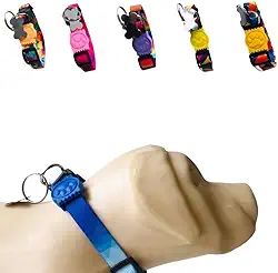 Coleira para Cachorros com Pingente para Identificação P, Tamanho Ajustável, Confortável e Resistente