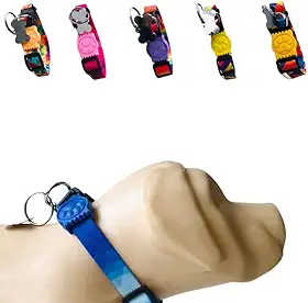 Coleira para Cachorros com Pingente para Identificação P, Tamanho Ajustável, Confortável e Resistente