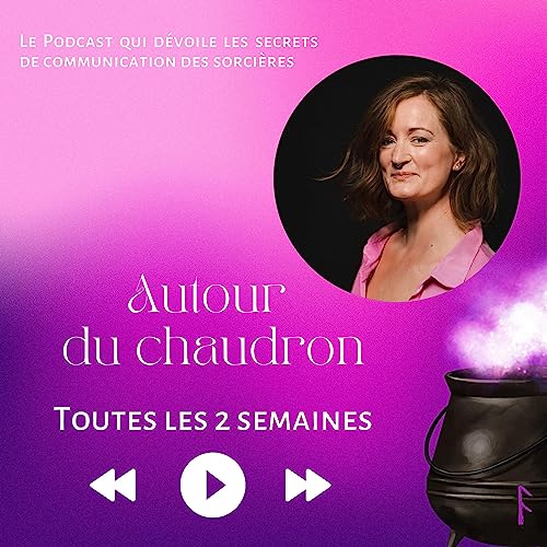 『Bienvenue Autour du Chaudron du webmarketing』のカバーアート
