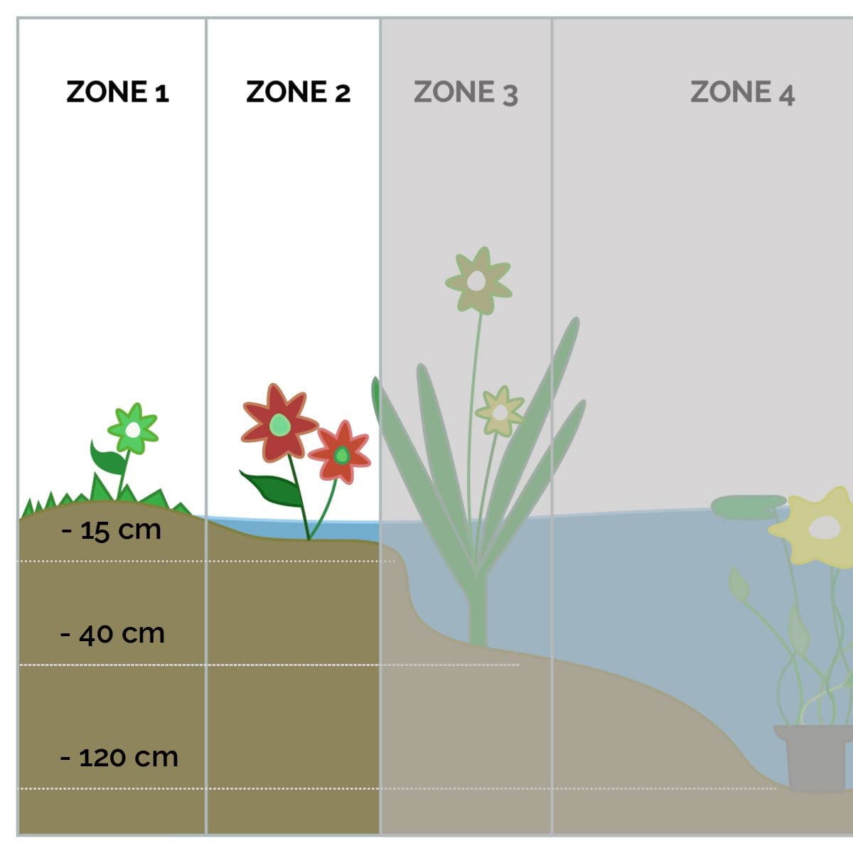 Bloomique - Set de 3 - Zantedeschia aethiopica - Cala blanca - Plantas de estanque - Resistente al frío - Altura 10-20 cm - Maceta 9 cm
