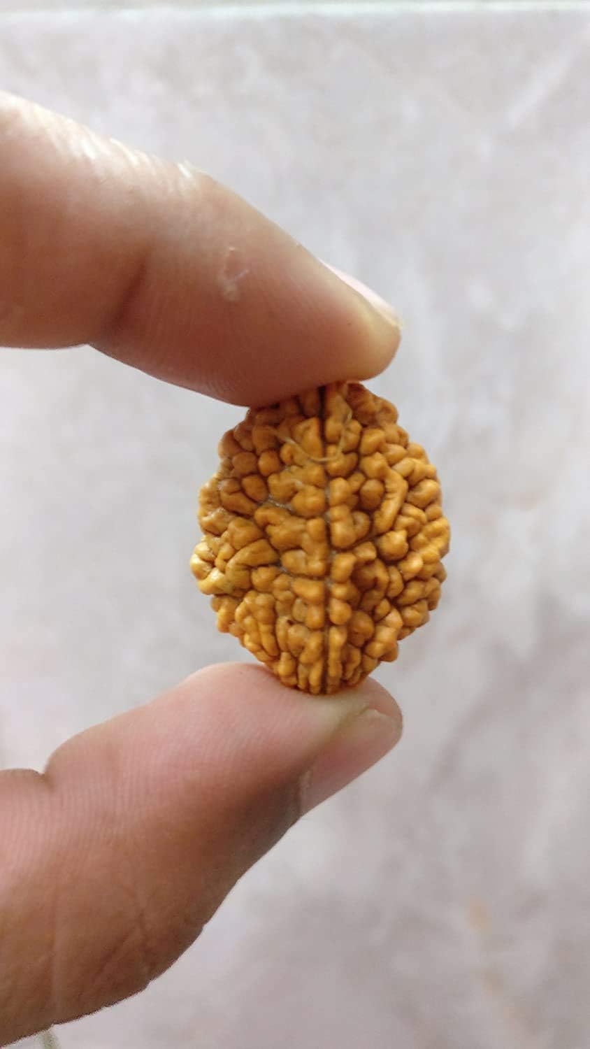Wonder Care Original Himalayan Rudraksha Loose Bead Rudraksha Mala Natural Rudra Religious Rosary Beads Japa Mala Rudraksha for Men and Women