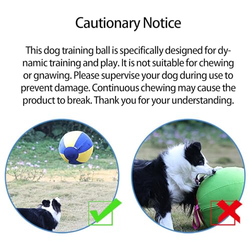 Balle d'entraînement interactive pour chien jouet gonflable anti-stress