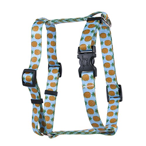 Image of Yellow Dog Design Pineapples Blue Roman Style H Dog Harness, X-Large-1 inch Wide and fits Chest of 28 to 36 inch