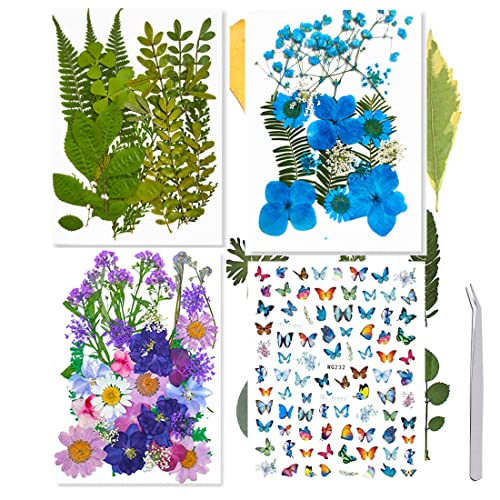 Flores secas prensadas naturales para manualidades 70 piezas miniatura 1
