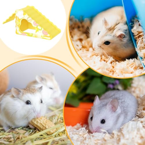 nX^[nEX `[Y^ - pP[W _[,݂Ή 2 in 1 h o nr^bg  lXg T Q[ i gC