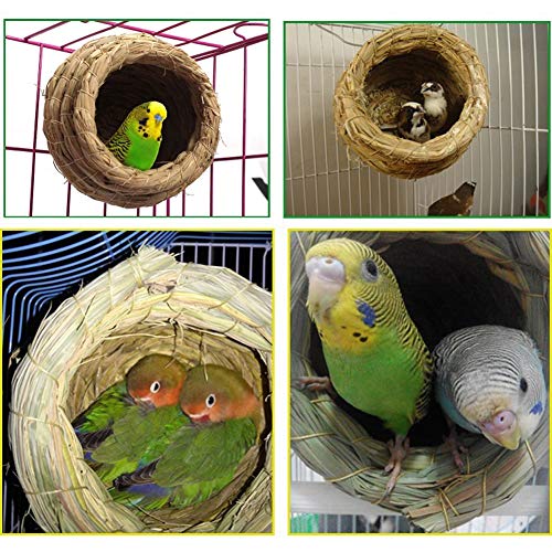 Pet Bird Bird House Bird Nest Parakeet Budgie Cockatiel Finch Sparrows Breeding Nesting Bird Aviary Cage Box Anti-Pecking Bite #TOP1