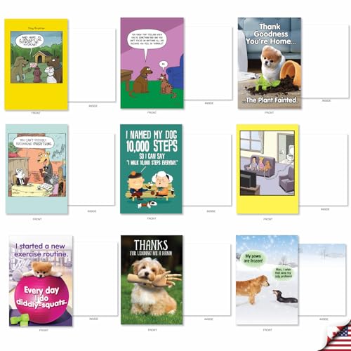 NobleWorks 36 Assorted Funny Blank Greeting Cards Bulk Box Set with Envelopes Mixed Humor Variety Pack Friendship Cards for Dog Lovers (36 Designs, 1 Each) Barking Blanks AC7753OCB-B1x36 by NobleWorks - Image 5