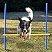 Lemodo Agility Set für individuelles Hundetraining, Hürden und Slalomstangen mit massiven Erdnägeln, Hundesport