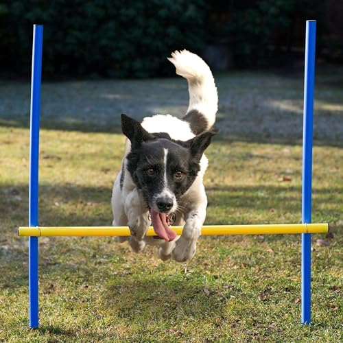 Lemodo Agility Set für individuelles Hundetraining, Hürden und Slalomstangen mit massiven Erdnägeln, Hundesport
