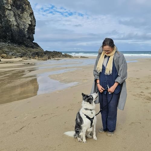 320. Wander the beaches of North Cornwall with artist Sarah Adams cover art
