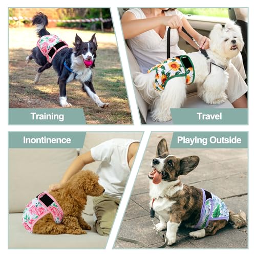 Image of Washable Female Dog Diapers - Premium Reusable Diapers for Doggie in Heat - Highly Absorbent Dog Diapers Female for Pet Incontinence with Adjustable Snaps Sunflower, M
