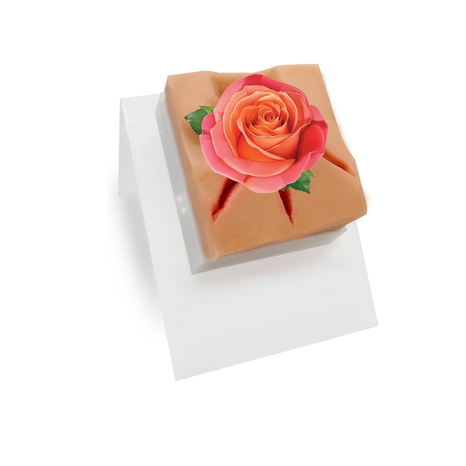 Perineal Suturing Model – Perineal Repair Practice Model, Molds for Surgical Vulvar Sutures, Vaginal Tear Suturing Model for Obstetric Training and Simulation. (Light Brown Color, Triadic Incision)