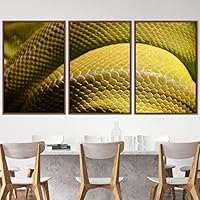 3 Piece Framed Canvas Wall Art Snakes Canvas Prints Home Artwork Decoration for Living Room,Bedroom - 16