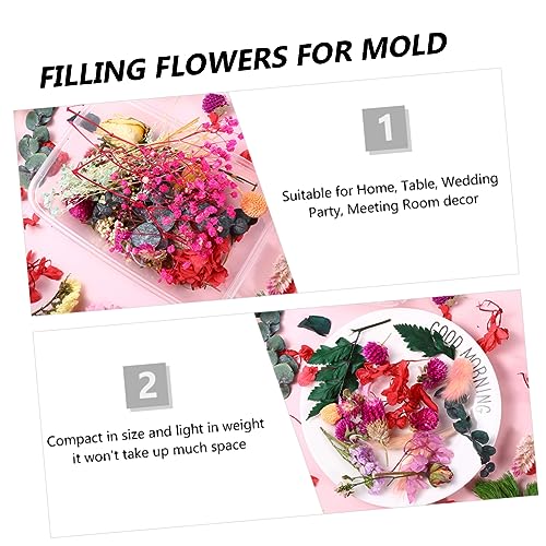 Flores Secas para Manualidades y Decoración miniatura 6