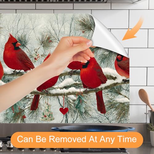 Image of Kitchen Oil Proof Sticker 35.4 x 23.6 Inch Red Cardinal Birds on Pine Branches Peel and Stick Backsplash Wallpaper for Kitchen Wall Behind Stove Counter Decor