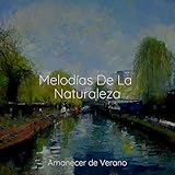 Amanecer de Verano