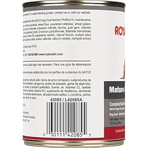Royal Canin Canine Health Nutrition Mature Adult in Gel Canned Dog Food 135 Oz Can 12count  Cucciolini Doodles Royal canin canine health nutrition mature adult in gel canned dog food 13 5 oz can 12 count   cucciolini doodles
