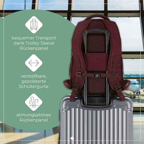 Travelite Handgepäck Rucksack, Laptop Rucksack 15,6 Zoll, BASICS, Daypack, Tagesrucksack mit vielen Fächern, 45 cm, 22 Liter
