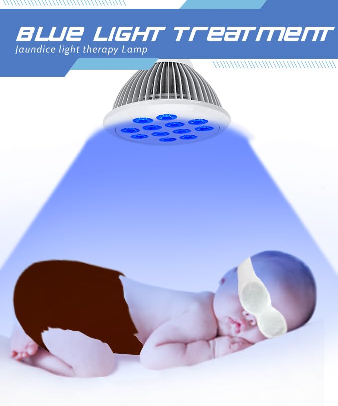 https://m.media-amazon.com/images/I/51ninl08bPL.jpg