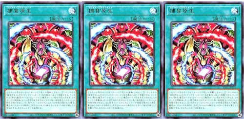 �y3���Z�b�g�z BLZD-JP055 �ߐH���� ���A R �u���C�W���O�E�h�~�j�I�� BLAZING DOMINION �v���f�^�[�v���~�e�B�u